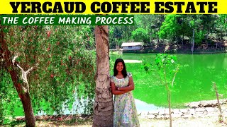 YERCAUD Cauvery Peak | Part 2  | ஏற்காடு | Coffee Plantation | Coffee Factory | Tamil {2019}