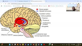 PARKINSONISOM IN ENGLISH