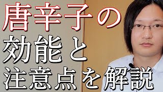 唐辛子の効能と注意点を国際薬膳師が徹底解説