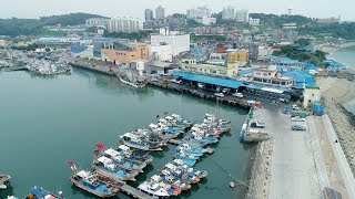 싱싱한 해산물의 천국! '대천항종합수산시장'으로 놀러와~보령!