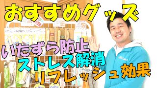 【おすすめグッズ】ドッグトレーナーがオススメする犬用おもちゃ、理由も説明します！〖犬のしつけ幼稚園＠神戸〗byかずま先生