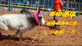 Kalkudi Jallikattu 2019 part 5 / கல்குடி ஜல்லிக்கட்டு பகுதி 5