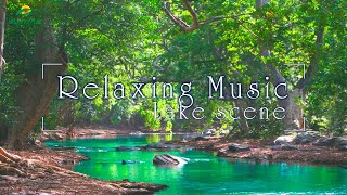 Emotional and spiritual healing | Deep Relaxing Music for Sleep , Stress Relief , Meditation , Spa
