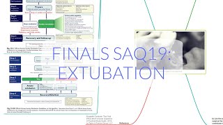 FINALS ANAES SAQ19: EXTUBATION