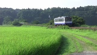 のと鉄道 NT200形 のと鉄道七尾線 -2011.08.08-