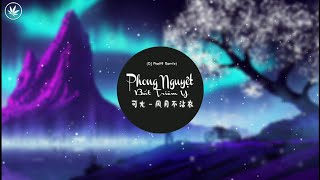 Phong Nguyệt Bất Triêm Y - Khả Uông | 可尢 - 风月不沾衣 (DJ Pad仔 Remix)