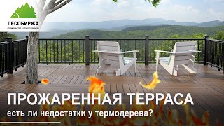 Терраса из термодревесины. Насколько надежно такое покрытие?