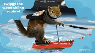 Twiggy the water skiing squirrel - Sam Bowen