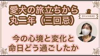 ＃140【ペットロス】愛犬の旅立ちから丸二年。今の心境と心境の変化をお話します＜三回忌＞