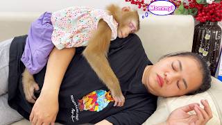 Monkey Lyly clung tightly to her mother to be able to fall asleep, which truly touched me.