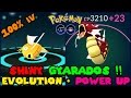 Evolving 100% IV SHINY MAGIKARP to SHINY GYARADOS + Power Up! (Pokemon Go Evolution)