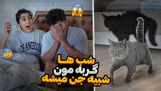 شب ها خونمون و گربمون جنی میشن ، از ترس زدیم بیرون