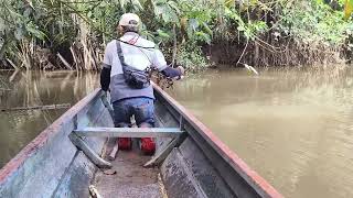 Mancing ikan sembilang disungai sekatak, kaltara