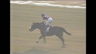 第37回 アメリカジョッキークラブカップ G2 （1996/1/21・東京） カネツクロス