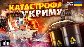 КАТАСТРОФА у Криму! Тисячі ЗАГИБЛИХ дельфінів і птахів. Одеса під ЗАГРОЗОЮ