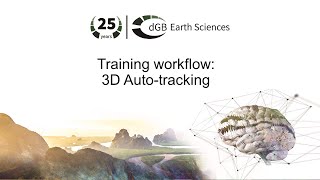 Training Workflow Global Interpretation 3d Bodies From Horizoncube By