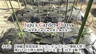 【後編】家庭菜園コンパニオンプランツ爆植え祭り 縁の下の力持ち植物「バジル」と「ねぎ」編【Episode012】