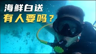 这应该是世界上最简单捕捞海鲜的方式吧！| 帆船旅行 | sailboat travel |