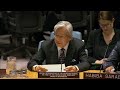 Women's Participation for Peace in Afghanistan - Security Council Briefing