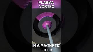 Plasma Vortex in a Magnetic Field