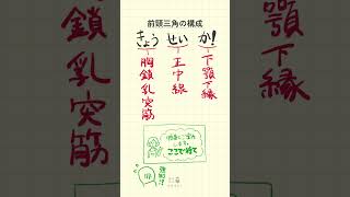 【前頸三角の構成の語呂合わせ～20秒で国試対策～】柔道整復師・鍼灸師・あん摩マッサージ指圧師