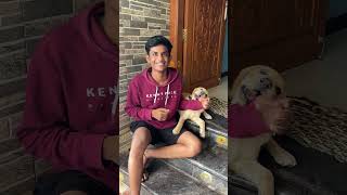 🐶🤣நம்ம பிறந்த நாள நாமலே கொண்டடுனா😅🤪#leo #shorts #trending #OLW #funny #tamil #viral #reels #birthday