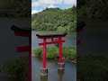 日本の絶景 日常 自然 絶景 景色 風景 vlog ドローン short