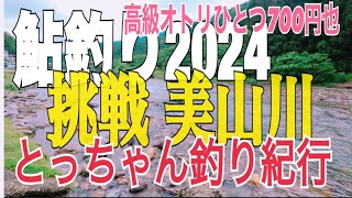 【鮎釣り2024】美山川　気高く品の良い鮎です。