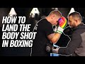 How to land the body shot in boxing