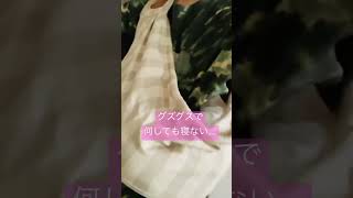 絶対買ってみて！！お勧め抱っこ紐紹介！#short #shorts #shortvideo #shortvideos #babyshorts #baby #babygirl #赤ちゃん