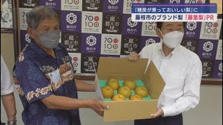 ブランド梨「藤里梨」のシーズンが到来　極早生品種「喜水」の試食会　静岡・藤枝市