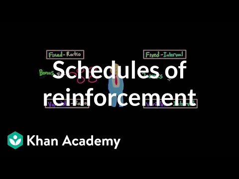 What is an omission schedule?