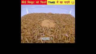 Amazing Experiment video🤯😱 ~ Mealworms Eating @MR. INDIAN HACKER @Crazy XYZ @MrBeast #SHORTS #VIRAL