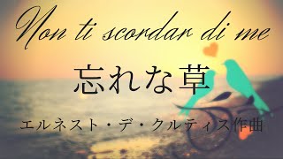 忘れな草  Non ti scordar di me【カンツォーネ/字幕で聴く歌曲】