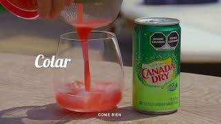 Canada Dry® Mocktail de Frambuesa