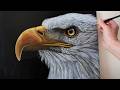 Bald Eagle Acrylic Painting  | Timelapse