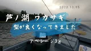 ベストシーズン到来か、芦ノ湖ワカサギ釣り