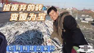 小迟带着一家人去捡废弃的砖，变废为宝, 给流浪狗建设家园   －Dog rescue in China-    20210420