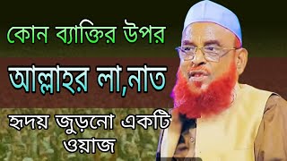 কোন ব্যাক্তির উপর আল্লাহর লা,নাত  নুরুল ইসলাম ওলিপুরী ওয়াজ Allama Nurul Islam olipori new waz