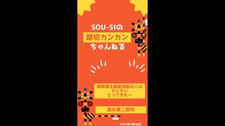 【踏切＆電車】神鉄（神戸電鉄）粟生線、藍那駅の近くのカンカン（踏切）とってきたー清水第二踏切ー