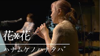 花＊花『ハナムケノハナタバ』from あいおいニッセイ同和損保 ザ・フェニックスホール（2023.07.15）