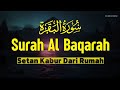 AL QURAN MERDU PENGANTAR TIDUR SURAH AL BAQARAH FULL MENYEJUKKAN HATI, PELINDUNG DIRI