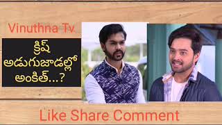 Ankith not following the footsteps of Krish? | Vinuthna Tv