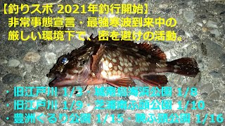 ～釣りスポ 2021年釣行開始～