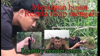 Parit terbengkalai di huni ikan2 monster