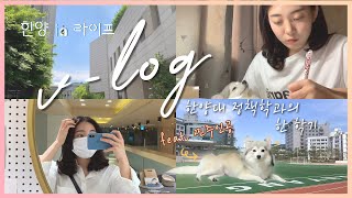 [한양in 라이프🦁 V-log Ep.01] 한양대 정책학과 학생의 한 학기｜시험기간은 언제나..