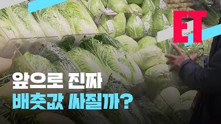 [ET] 올 김장김치 마음 편히 먹을 수 있을까? / KBS뉴스(News)