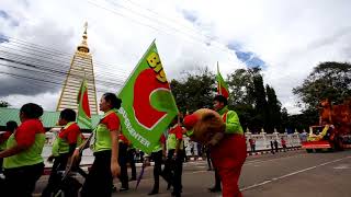 ต้นเทียนวัดหนองบัว