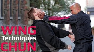 Wing Chun techniques wing chun kung fu - Bong and palm strike