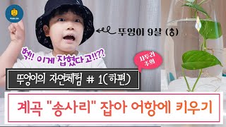 [뚜엉이TV] 송사리 잡아 어항에 키우기 (하편)